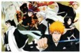 /album/bleach/bleach2-jpg/