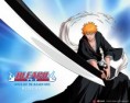 /album/bleach/bleach-episodes-1-52-308-1280-jpg/